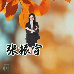 张振宇